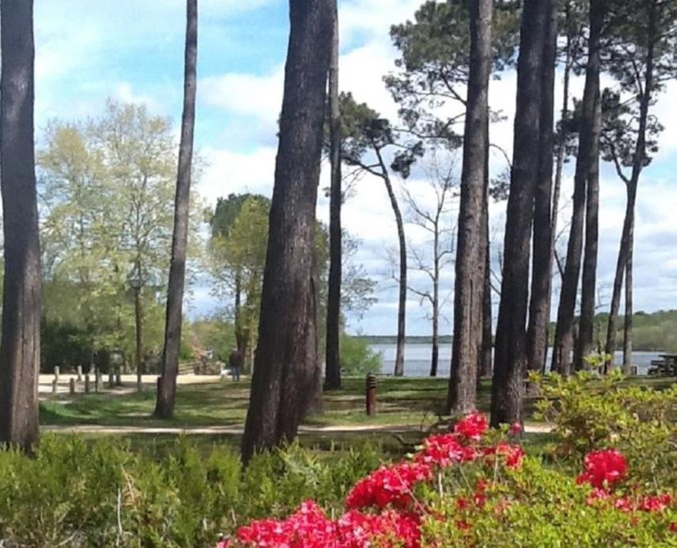 Hotel Au Bon Coin Du Lac Mimizan-Plage Zewnętrze zdjęcie